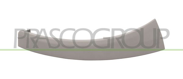 PRASCO FT9302104 Acoperire faruri