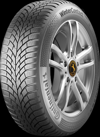 CONTINENTAL WINTERCONTACT TS 870 FR:B NL/U:B 195/65R15 91T