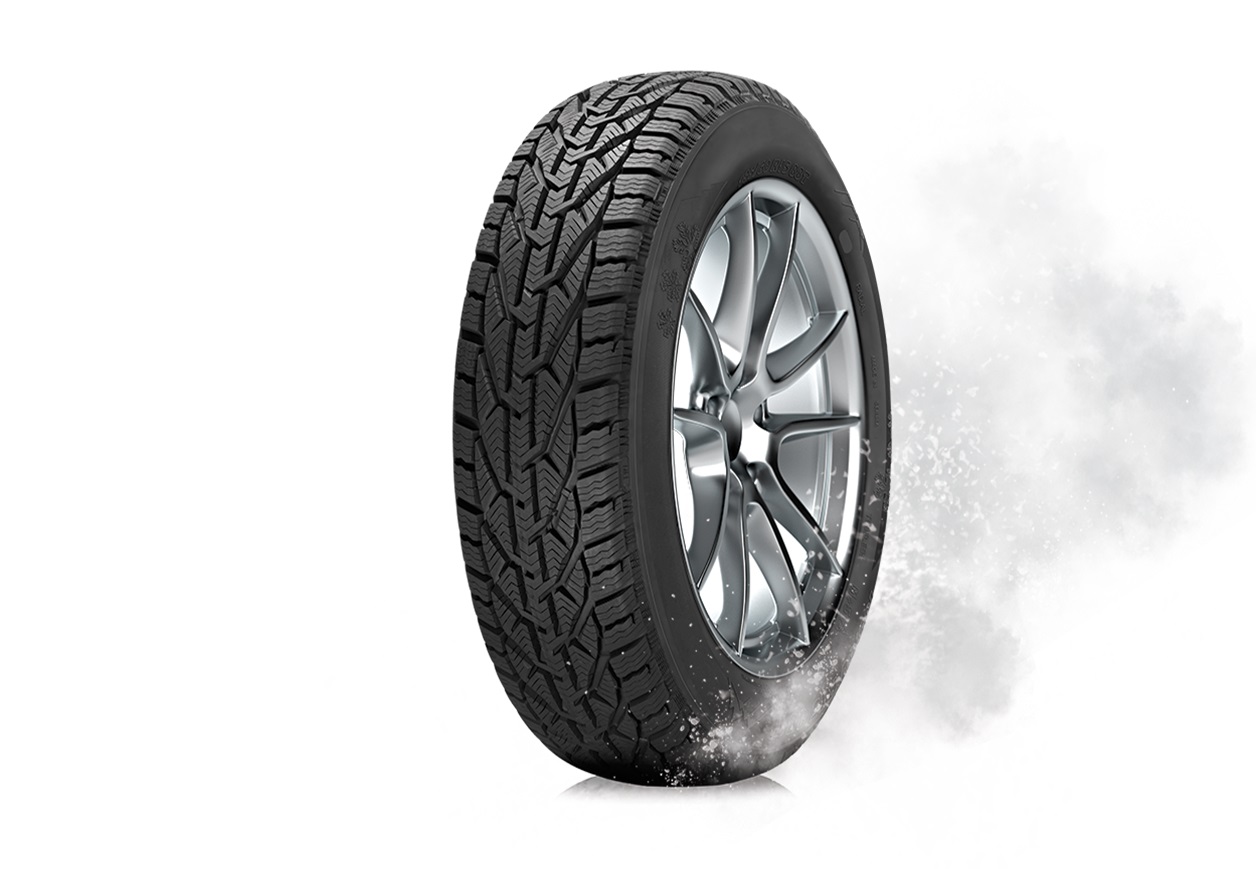SEBRING SNOW 195/55R16 87H