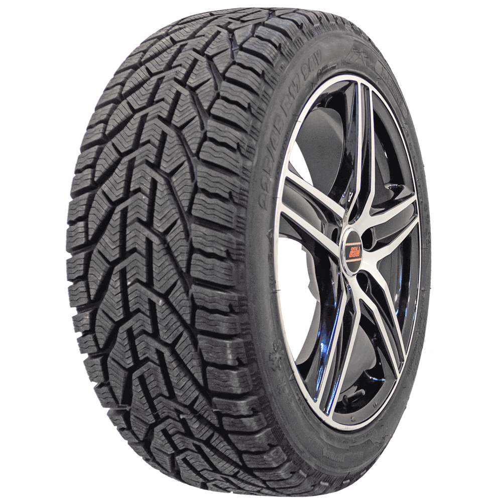 Taurus Winter 195/60R15 88T