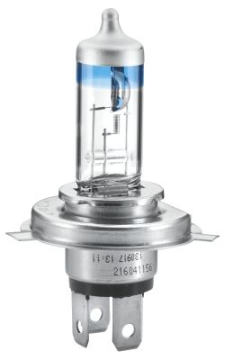 HELLA 8GJ002525-531 Bec, far principal