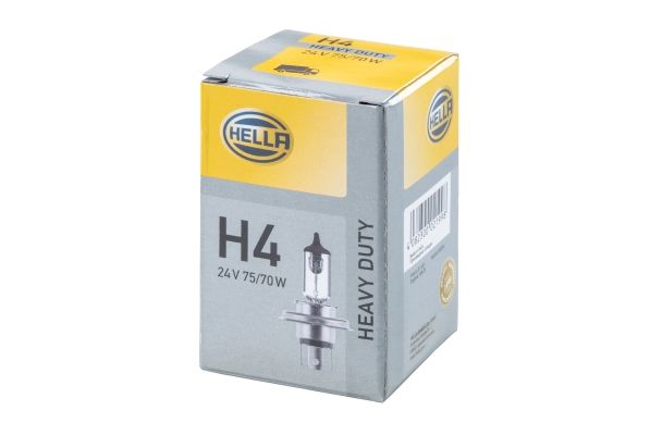 HELLA 8GJ002525-251 Bec, proiector ceata