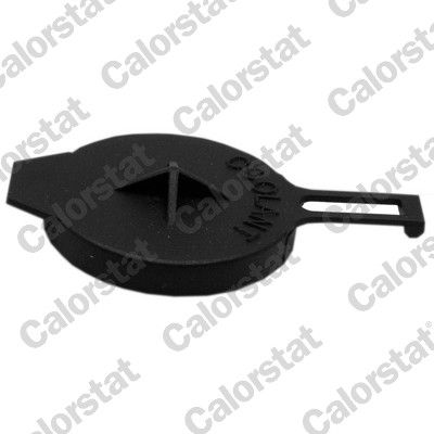 CALORSTAT by Vernet RC0165 Buson, vas expansiune