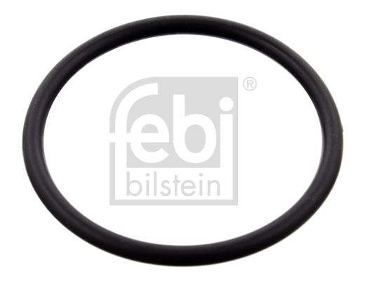 FEBI BILSTEIN 100077 Garnitura, carcasa termostat