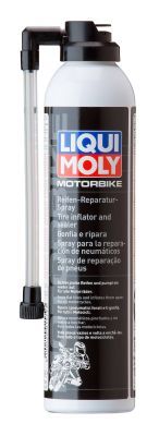 LIQUI MOLY 1579 Pasta de montaj