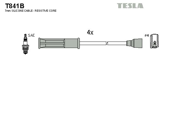 TESLA T841B Set cablaj aprinder